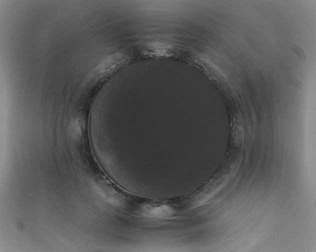 X0000111370747200907101211