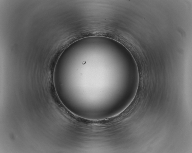 X0000111370748200907101211