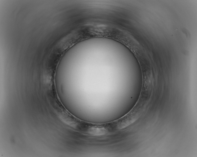 X0000111370749200907101211