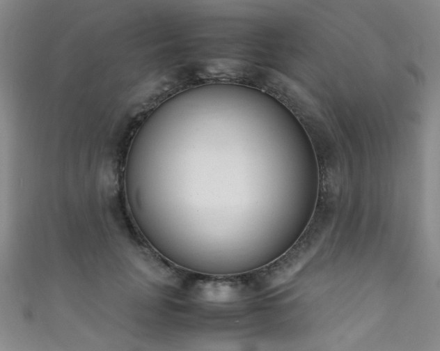 X0000111370751200907101211