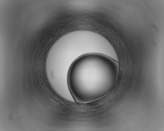 X0000111370752200907101211