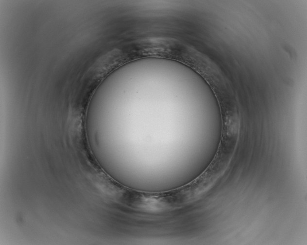 X0000111370753200907101211
