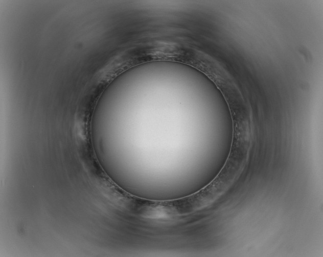 X0000111370755200907101211