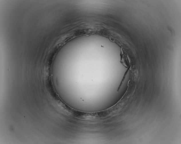 X0000111370756200907101211