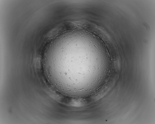X0000111370757200907101211