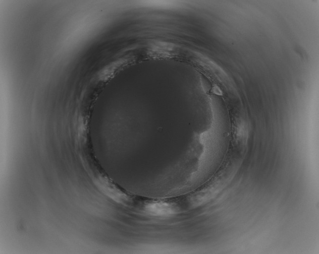 X0000111370759200907101211