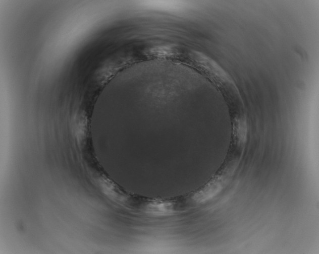 X0000111370760200907101211