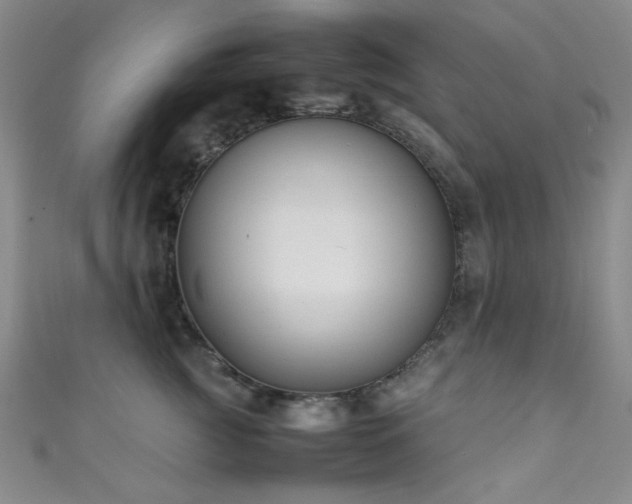 X0000111370761200907101211
