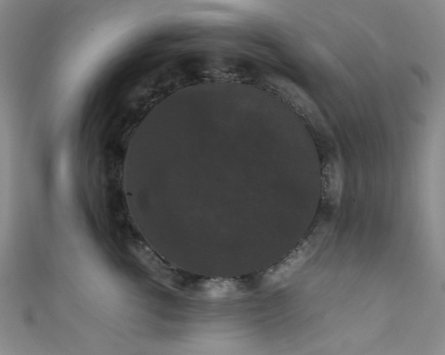 X0000111370762200907101211