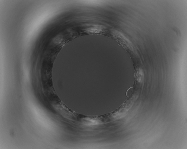 X0000111370763200907101211
