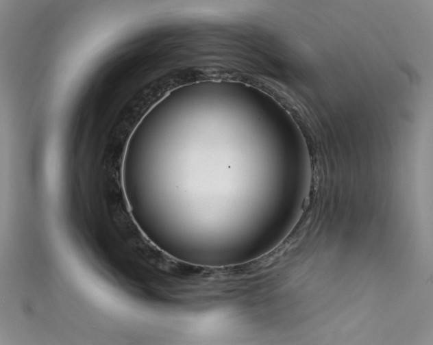 X0000111370764200907101211