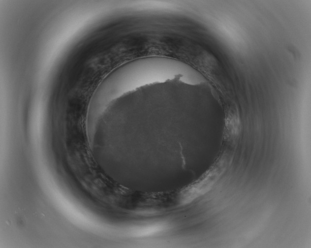 X0000111370765200907101211
