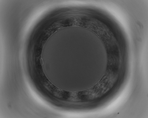 X0000111370766200907101211