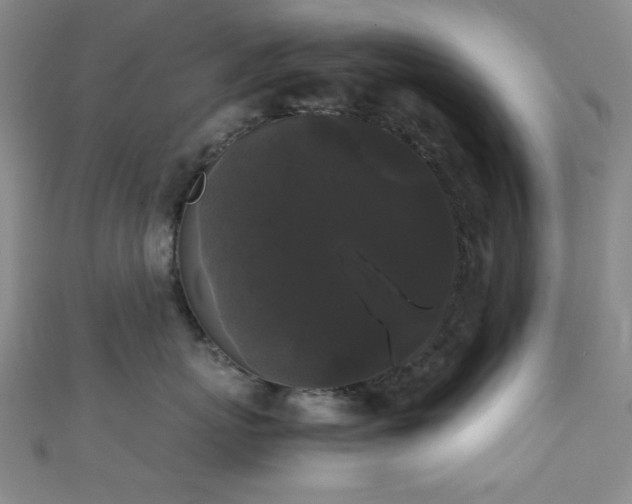 X0000111370767200907101211