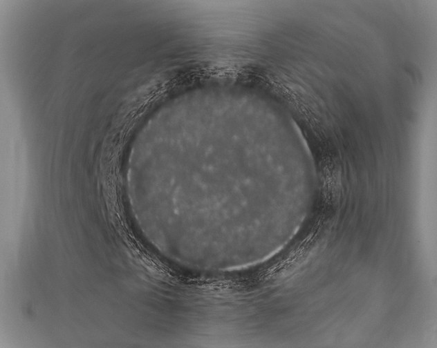 X0000111370769200907101210