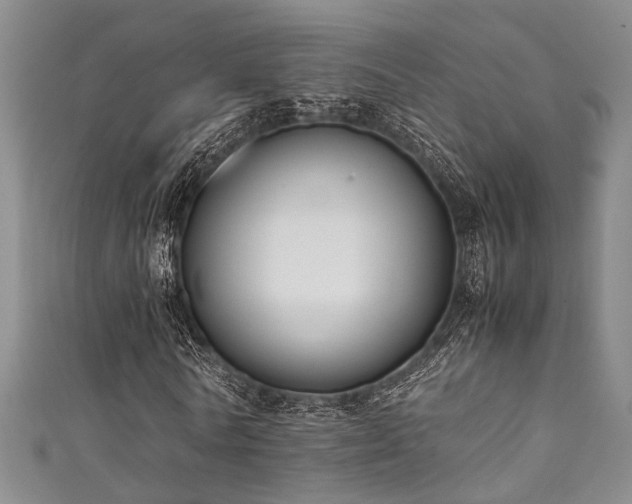 X0000111370770200907101210