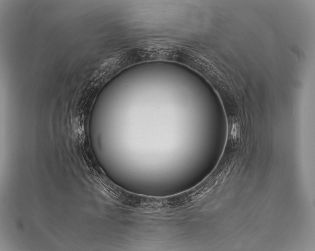 X0000111370771200907101210
