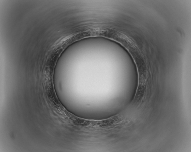 X0000111370773200907101210