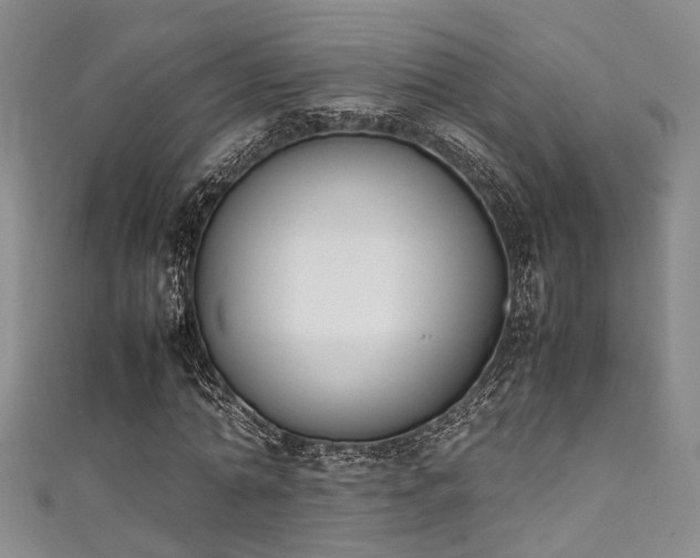 X0000111370774200907101210