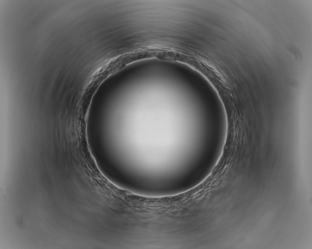 X0000111370776200907101210