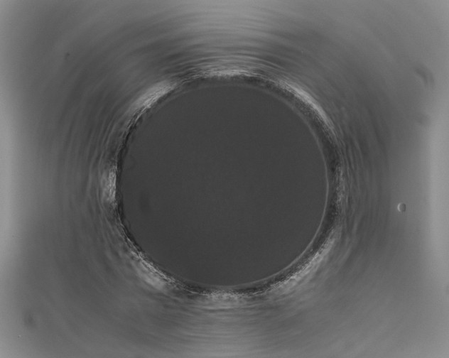 X0000111370777200907101210