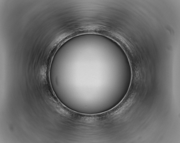 X0000111370778200907101210