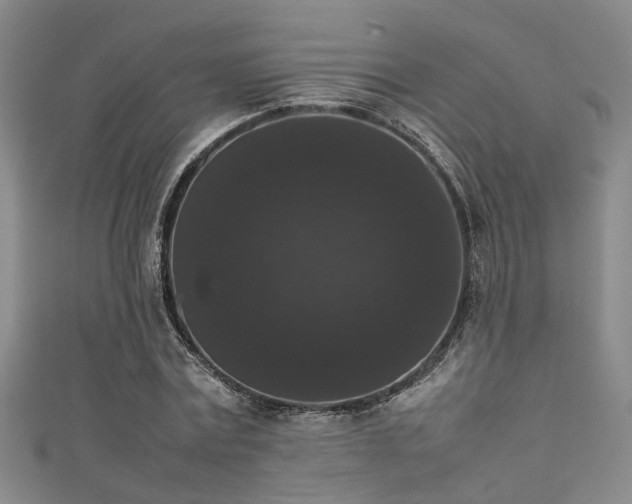 X0000111370779200907101210