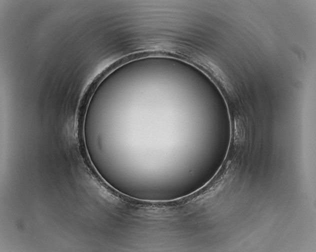 X0000111370780200907101210