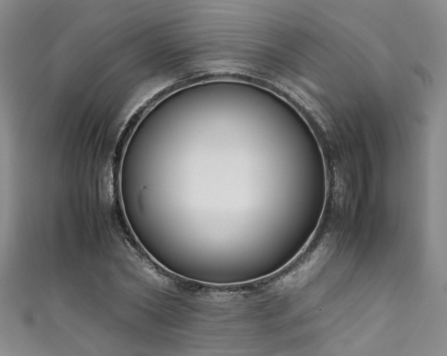X0000111370782200907101210