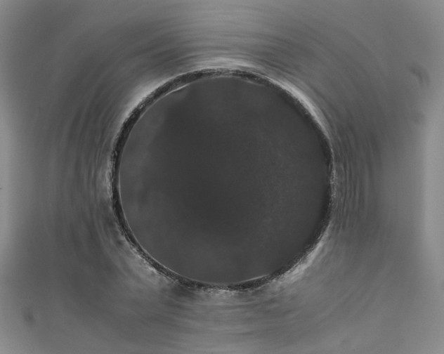 X0000111370783200907101210