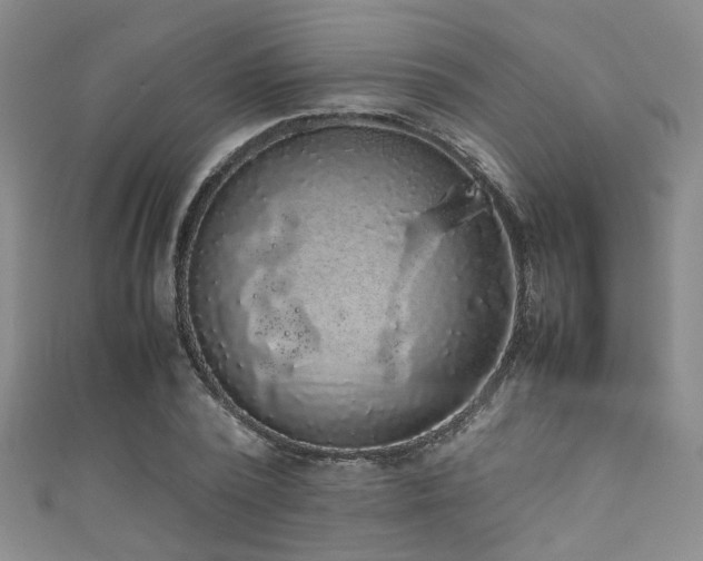 X0000111370784200907101210