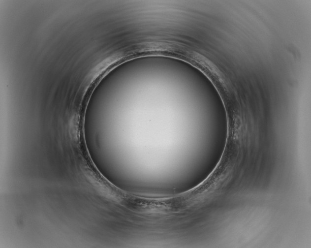 X0000111370786200907101210