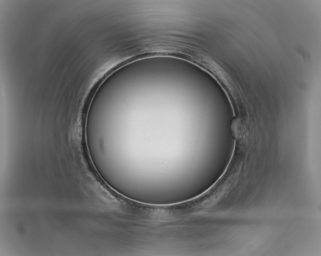 X0000111370787200907101210