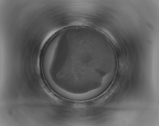 X0000111370788200907101210