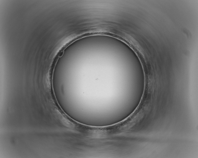 X0000111370789200907101210