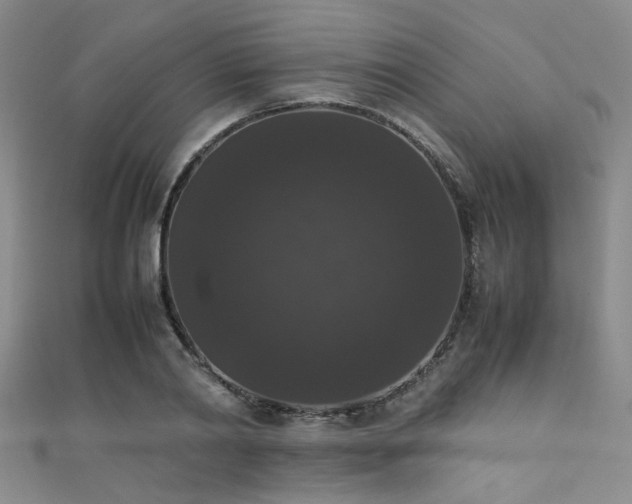X0000111370790200907101210
