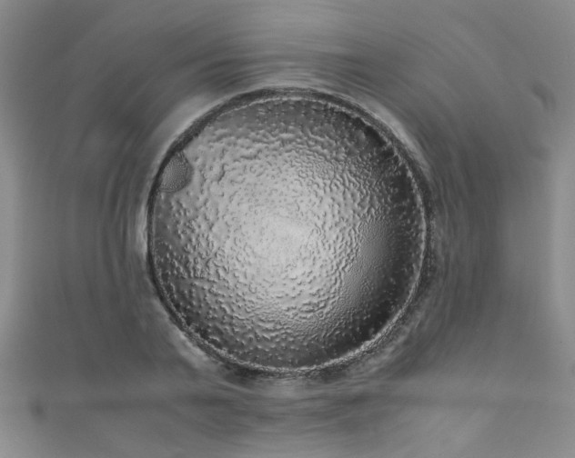 X0000111370791200907101210