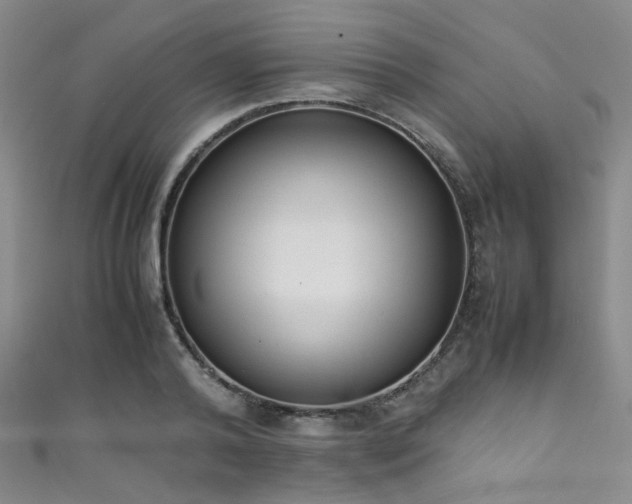 X0000111370792200907101210