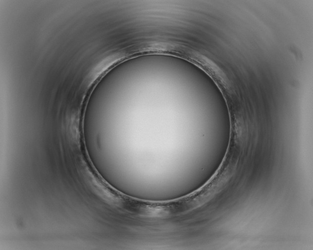 X0000111370794200907101210
