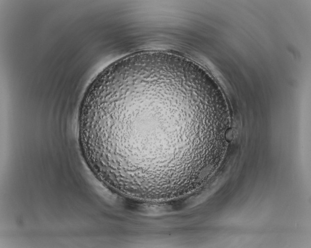 X0000111370795200907101210