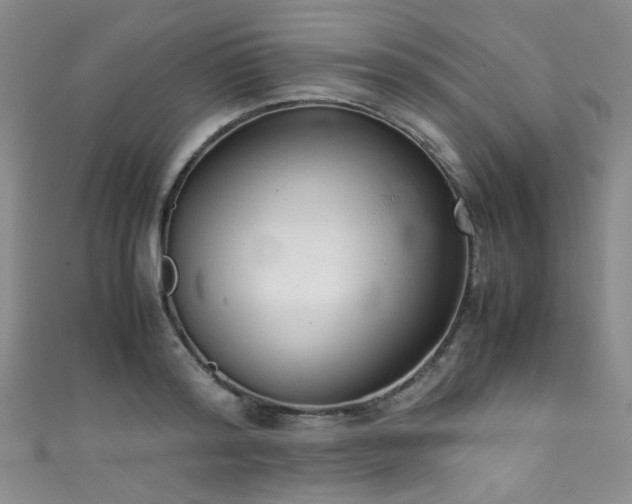 X0000111370796200907101210