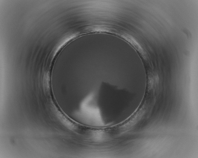 X0000111370798200907101210