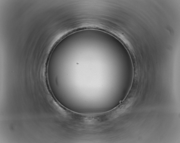 X0000111370799200907101210