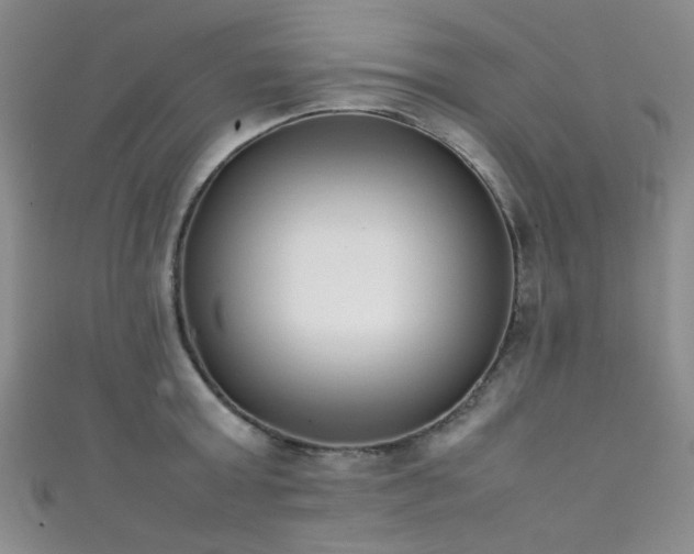 X0000111370803200907101210