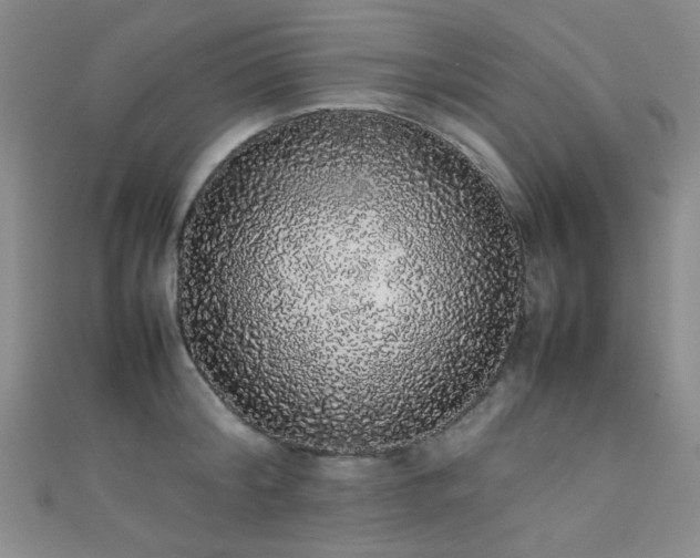 X0000111370804200907101210