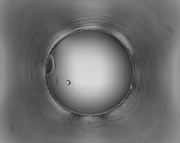 X0000111370805200907101210