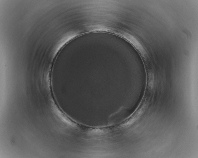 X0000111370806200907101210
