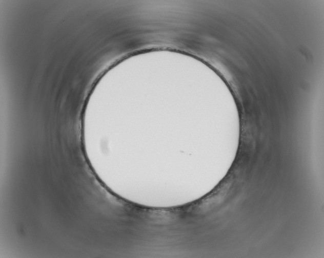 X0000111370807200907101210