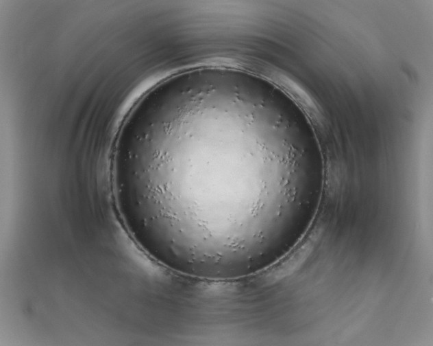 X0000111370808200907101210