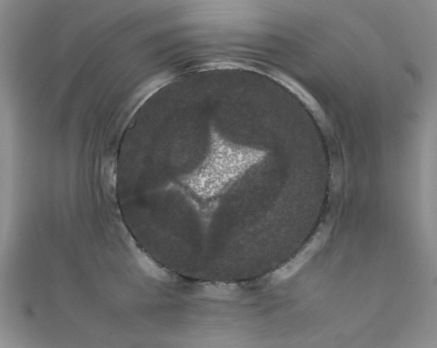 X0000111370809200907101210